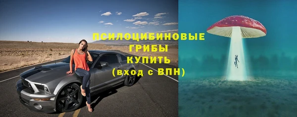 ешки Абинск