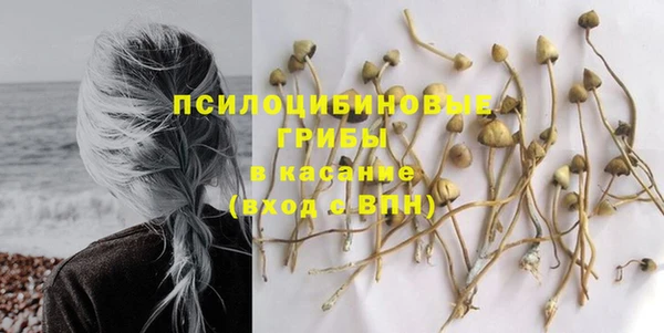 ешки Абинск