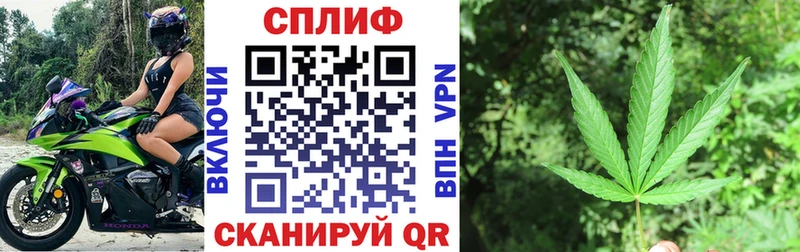 Бошки марихуана сатива  Кимовск 